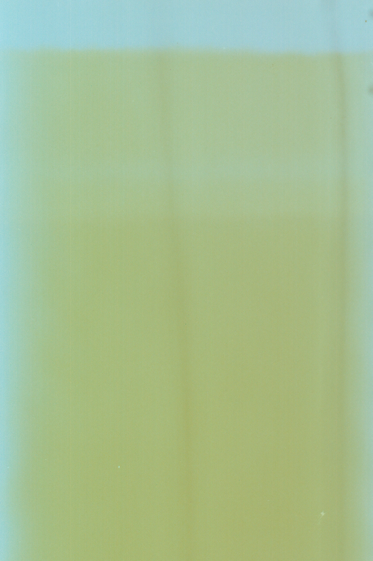 sebastian-sebastian-12